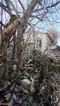 Söke Emlak Ofisinden Karacahayıt Köyünde Satılık Arsa