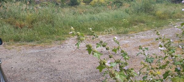 Akustik Emlak,tan Satılık İmarlı T.arsa