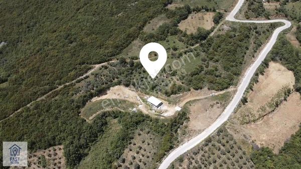 Fast'ten Gemlik Şahinyurdu Mh.de Satılık 2325 M2 Zeytinlik