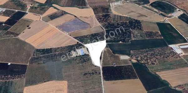 Kemalpaşa Bağyurdu Satılık Tarla 1100m2 Yola Cephe