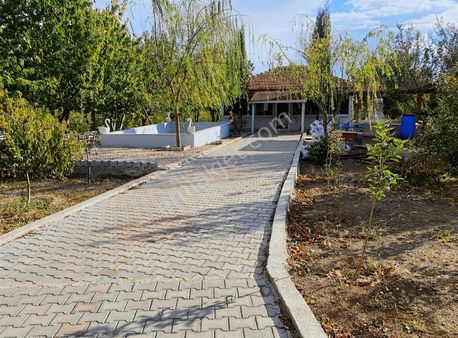 Efdal Lap Emlaktan Yolpınar Köyünde 12 Dönüm Cevizlik Ve Bağ Evi