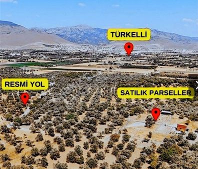 İzmir Aliağa Barbaros Mah'sin De 195 M²satılık Zeytinlik