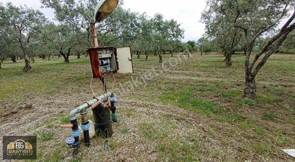 Hamidiye Mh.de 4390 M² Su Ve Elektriği Olan Trilye Bahçesi Stlk