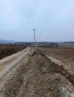 Gökçesuda 2 Dönüm Sulu Tarla