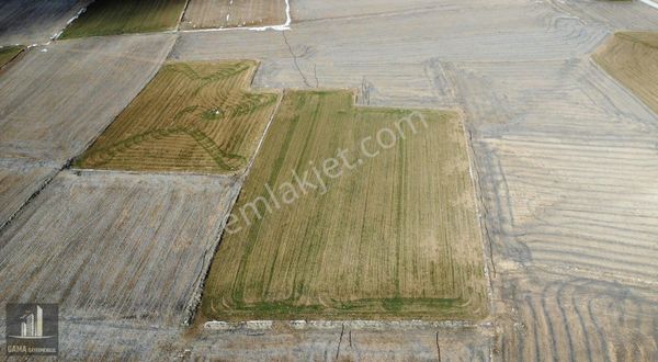 Afyon /emirdağ/gedikevi Mah.yatırımlık Fırsat Düz Tarla