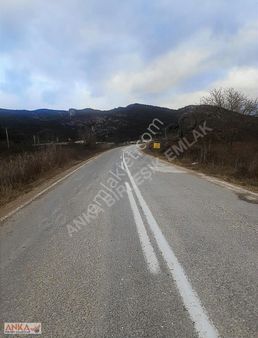 Camicedit Osmaneli Bilecik'te Yatırım Fırsatı Tarlamız!!!