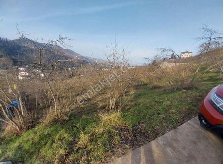 Kamışlıda Hafif Eğimli Manzaralı Fırsat Arsa