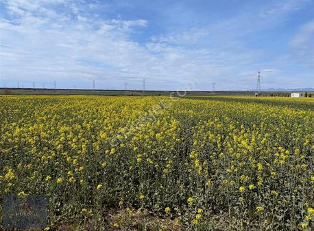 Vize Hasbuğa Köyünde Yola Cephe Satılık Tarla