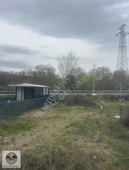 Şile Geredeli Köyünün Girişinde 392 M2