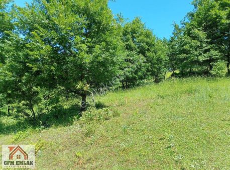 Çitli Mahallesinde 4.000 M2 Satılık Tarla