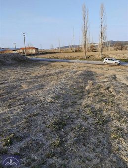 Burdur Merkez Boğaziçi Köyü 21.769 M2 İmarlı Tarla