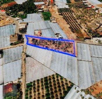 Onur Gayrimenkul'den Satılık Kupon Tarla