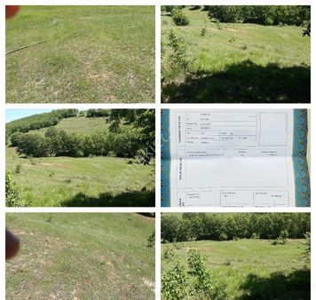 Vural Grup İnşaat Emlak Satılık Tarla