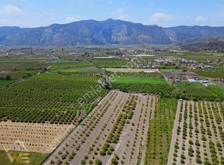 West Emlak'tan Satılık Fırsat Hobi Bahçeleri