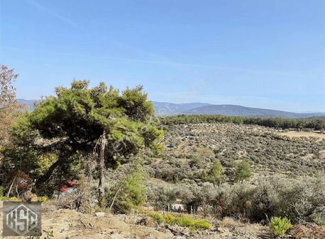 İzmir Menderes Ataköyde 2620m2 Tek Tapu Müstakil Tarla