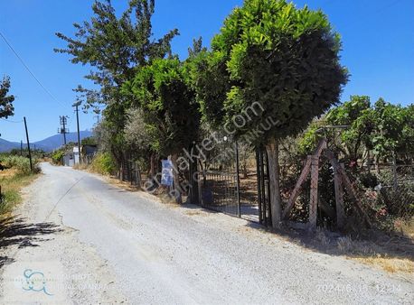 Sedir'den İzmir-kemalpaşa' Da 4.531 M2 Satılık Parsel