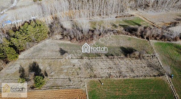 Meyve Ağaçları İle Dolu 2 Dönüm Arazi