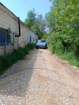 Bozdoğan Koyuncular Mah Satılık