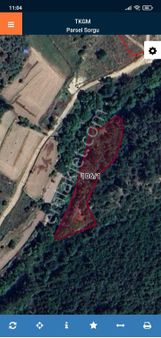 Milas Ören Dereköy'de Satılık Tarla