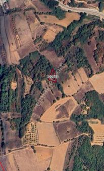 Roma' Dan Cemiyet Mh Satılık Tarla