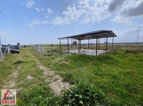 Menderes Develi İzban Yakını Subasman Ve Çelik İskeletli Arazi