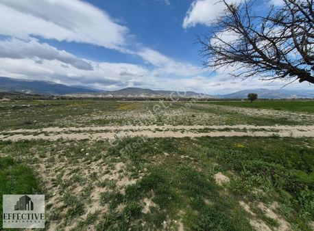 Korkuteli Yeşilyayla'da 1988 M² Satılık Tarla *ref511