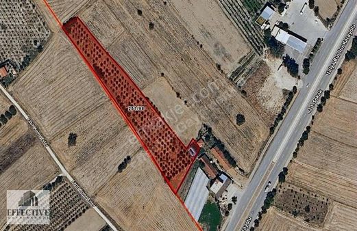 Burdur Bucak Gündoğdu'da Müstakil Tapulu Satılık Tarla Ref500