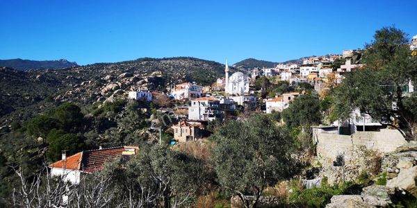 Milas Ketendere'de Full Doğa Manzaralı 1044 M² Satılık Zeytinlik