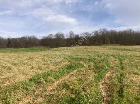 Adapazarı Kayrancık Mah. Yatırımlık Uygun 3270m2 Tarla