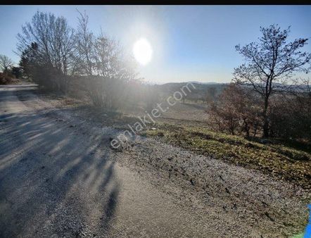 Harmancık Hopandanişmentte Satılık Tarla