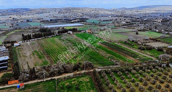 Twenty'den Çeşme Ovacık'ta Deniz Manzaralı 4967 M2 Tarla