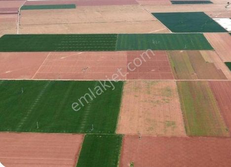 Konya Ereğli 500 Dekar Blok Arazi Satılık