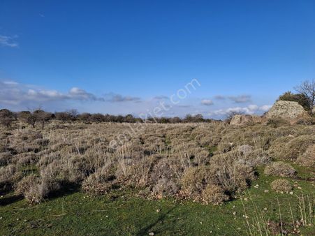 Ayvacık Kaz Dağların Da Satılık Tarla