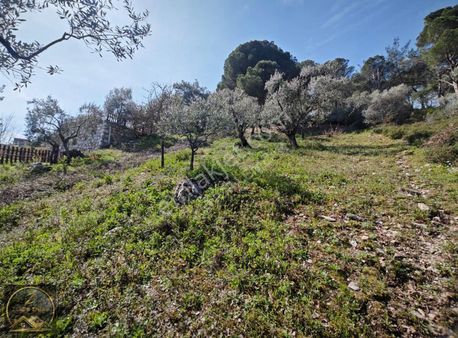 Zengin Emlak'tan Torbalı Ormanköyde Köyiçi Bahçe