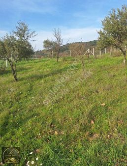 Zengin Emlak'tan Torbalı Dirmil'de 410 M2 Mirastan Bölme