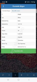 Muğla Milas Bafa Satılık 8.480m² Zeytinlik Gökhan Alkaya'dan