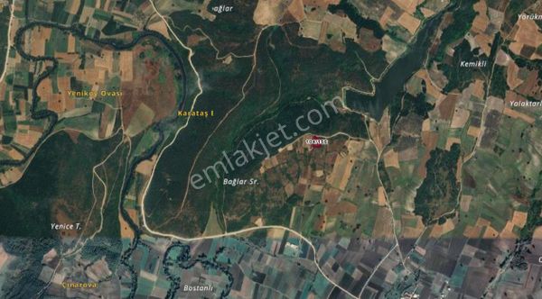 Mudanya Çayönü'nde Yola Cephe Yatırımlık Zeytinlik