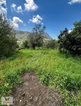 Winner- Marmaris Bayır Köyünde + 'villa İmarlı' Satılık Arazi!