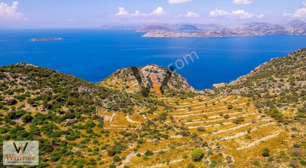 Winner- Denize Sadece 300m Ve Deniz Manzaralı+ Yola Sıfır Arazi!