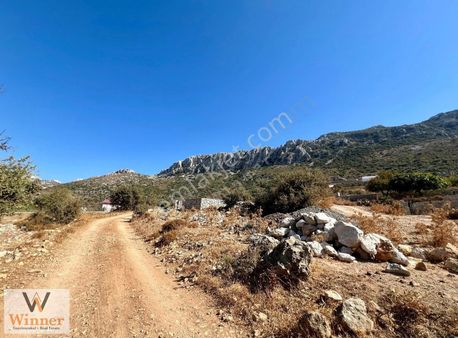 Winner- Söğüt+ Yola Sıfır+ Tiny House İçin İdeal+ Satılık Arazi!