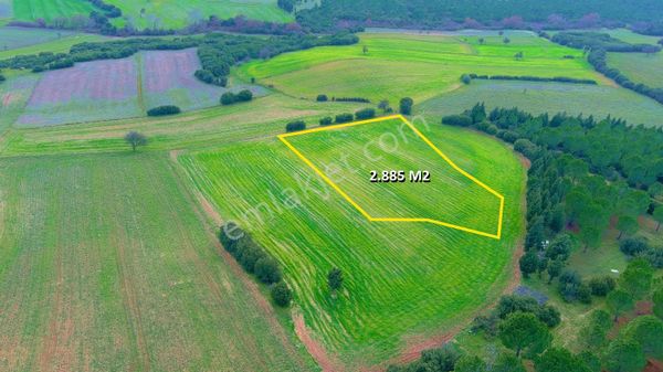 Çanakkale Ezine Kızılköy'de Satılık Kelepir Tarla