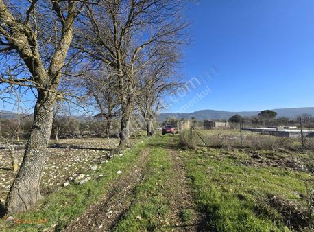 Muğla Menteşe Yeşilyurt Mahallesi'nde 3 Dönüm Tarla