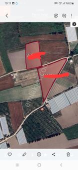 Manavgat/ Berekette Yola Cephe Sera İçin Tek Tapu Tarla