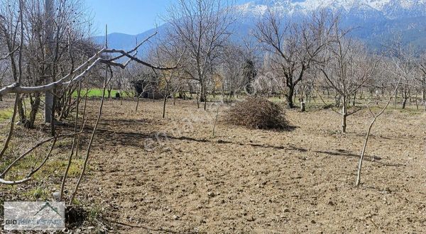 Burdur Çeltikçi Satılık 2 Adet Tarla