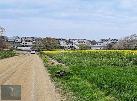 Çeşmeli De Deniz Manzaralı İmara Sınır 325 M Arsa Hemen Tapu