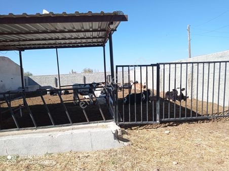 Niğde Bor Satılık Çiftlik, Merkeze Yakın