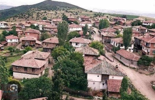 Kırklareli Pehlivanköy Doğanca'da 800 M2 Müstakil Tapu Tarla