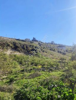 Aras**musalı Da Köyiçinde 810 M2 Satılık Arsa Kayısı Bahçesi