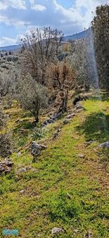 Âcil Fethiye Gökben Mahallesinde Satılık Tarla