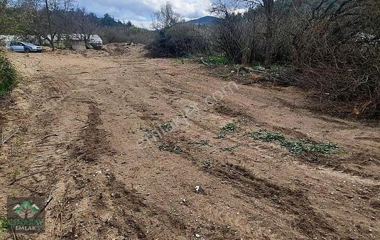 Asfalta Sıfır 500 M2 Bahçe